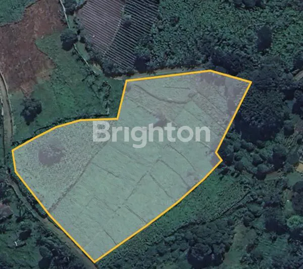 image TANAH VIEW GUNUNG CISARUA BOGOR (3)