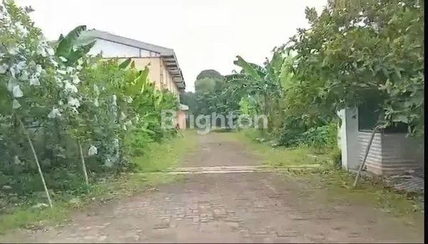 image TANAH SHM PINGGIR JALAN JOE LENTENG AGUNG JAGAKARSA JAKARTA SELATAN  (2)