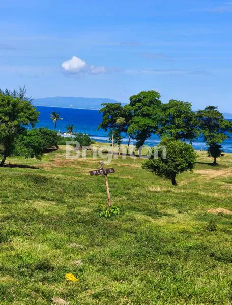 image INVESTASI TANAH  BEACHFRONT DI  PANTAI GIANYAR BALI (3)