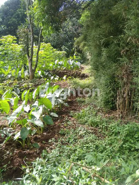 image TANAH STRATEGIS DI BOGOR (2)