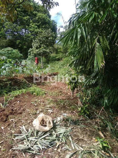 image TANAH STRATEGIS DI BOGOR (3)