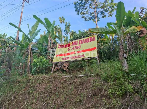 image TANAH PREMIUM 4780M² VIEW PERBUKITAN KULON PROGO, DEKAT GOA MARIA (3)