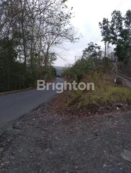 image TANAH PREMIUM 4780M² VIEW PERBUKITAN KULON PROGO, DEKAT GOA MARIA (5)