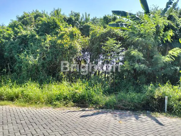 image TANAH DI WONOREJO SELATAN  (1)