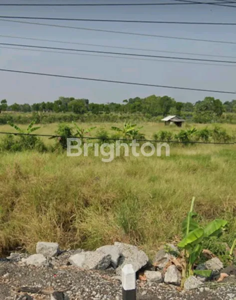 image LAHAN INDUSTRI NOLL JALAN PROVINSI TEGAL PEMALANG (PANTURA), LOKASI BAGUS JALAN KEMBAR BESAR, COCOK UNTUK INDUSTRI (1)