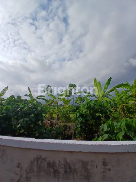 image RUMAH MINIMALIST ONE GATE SYSTEM DEKAT SANUR (8)