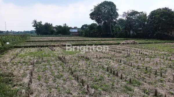 TANAH DI SELAJAMBE KEC SALUYU KAB CIANJUR