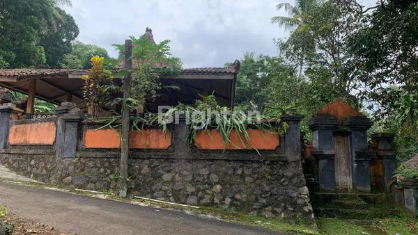 image TANAH PREMIUM 330M² PLUS PENDOPO DI KAUMAN KIDUL SALATIGA (4)