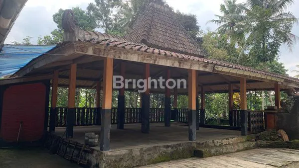 image TANAH PREMIUM 330M² PLUS PENDOPO DI KAUMAN KIDUL SALATIGA (2)