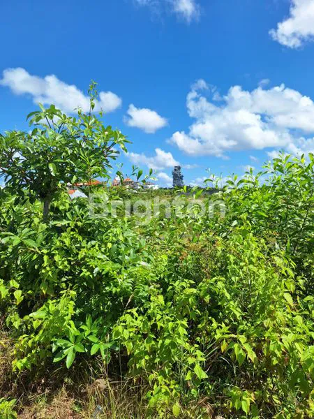 image TANAH 600M2 VIEW LAUT DAN GWK DI GOA GONG UNGASAN BALI (3)