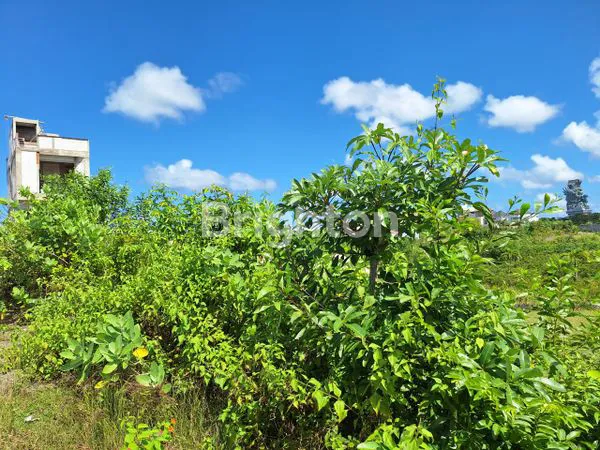 image TANAH 600M2 VIEW LAUT DAN GWK DI GOA GONG UNGASAN BALI (5)