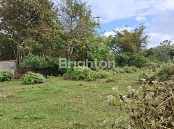 image TANAH KAVLING KUTUH (2)