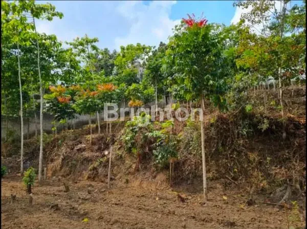 image KAVLING MAINROAD LEMBANG (5)