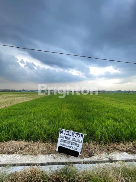 image SAWAH UNTUK INVESTASI (1)