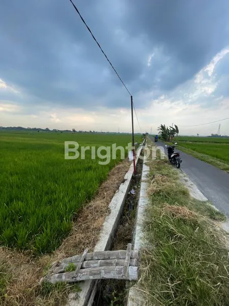 image SAWAH UNTUK INVESTASI (5)