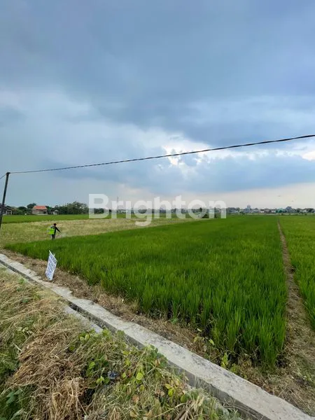 image SAWAH UNTUK INVESTASI (3)