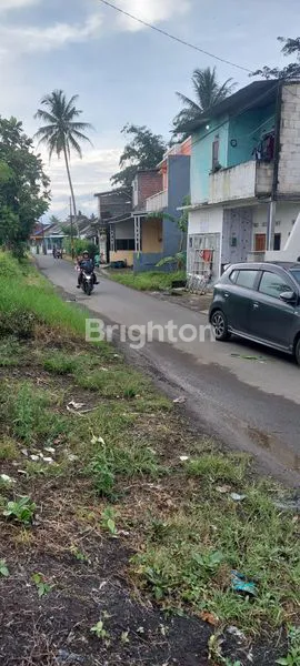 image BOTO PUTIH , PAKIS (3)