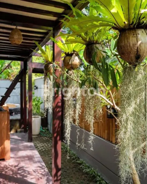 image DIJUAL JAPANESE VILLA 2 LANTAI DI MUNGGU (8)
