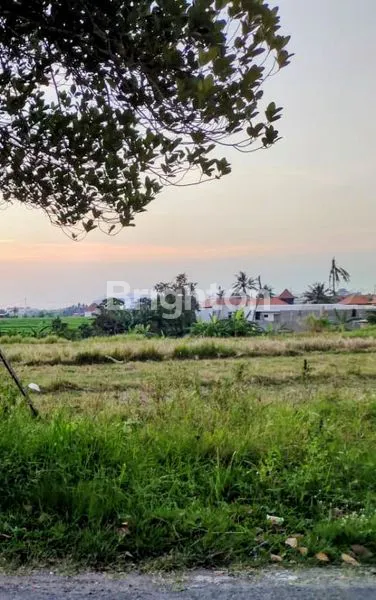 image LAND FOR LEASEHOLD 38,15 ARE PERERENAN (1)