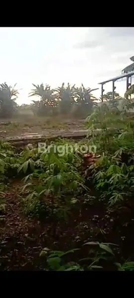 image TANAH PARUNG,BOGOR (7)