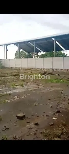 image TANAH PARUNG,BOGOR (6)