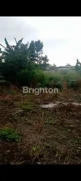 image TANAH PARUNG,BOGOR (4)