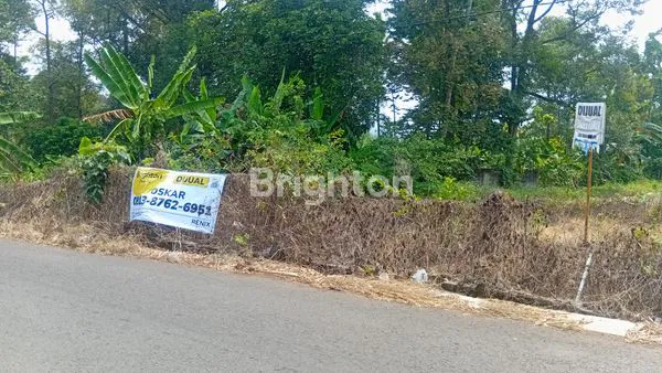 image TANAH SIAP BANGUN PODOREJO NGALIYAN SEMARANG BARAT (2)