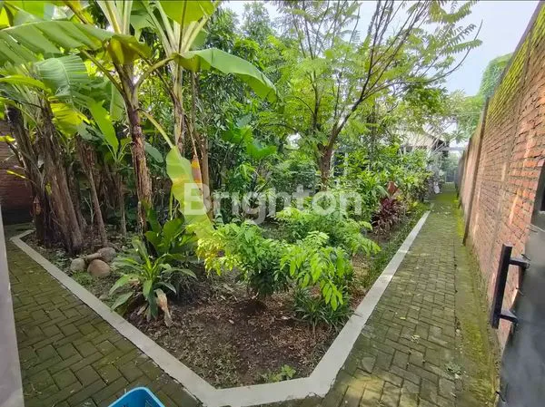 image RUMAH 1 LANTAI SEPERTI VILLA MOJOKERTO (5)