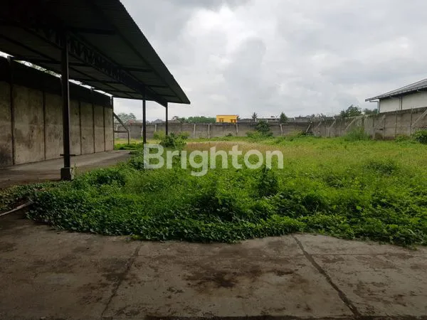 image GUDANG PAKIS (3)