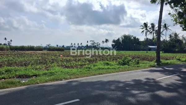 image TANAH 5 HEKTARE DI 0 JALAN RAYA PAKISAJI MALANG (1)