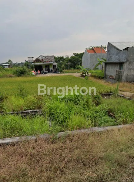 image  TANAH KOSONG – MENGANTI KRAJAN, GRESIK  (2)