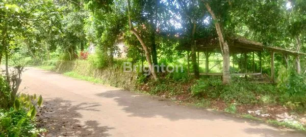 image DIJUAL MURAH DAN CEPAT TANAH INDUSTRI STRATEGIS – JASINGA, BOGOR BARAT (1)