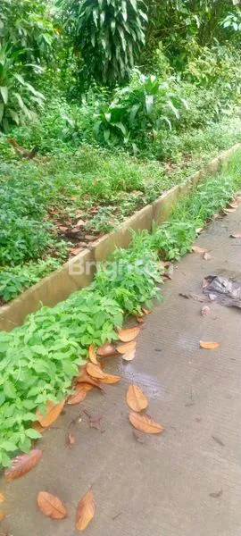image DIJUAL MURAH DAN CEPAT TANAH INDUSTRI STRATEGIS – JASINGA, BOGOR BARAT (3)