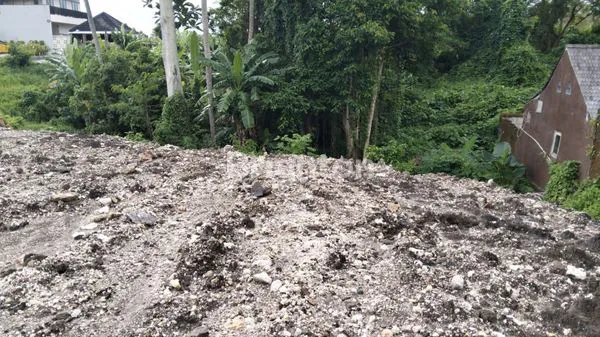 image TANAH PREMIUM 2185M² PADANG TAWANG CANGGU - COCOK UNTUK VILLA (5)