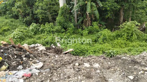 image TANAH PREMIUM 2185M² PADANG TAWANG CANGGU - COCOK UNTUK VILLA (6)