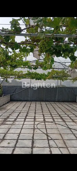 image RUMAH 7 LANTAI BONUS KEBUN ANGGUR (5)