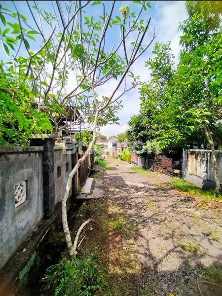 image RUMAH 3 KAMAR TIDUR DI PERUMAHAN JAGASATRU KEDIRI TABANAN BALI (3)