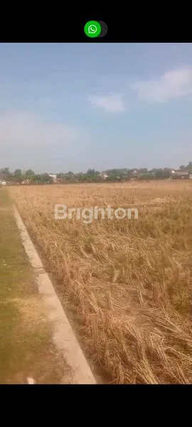 image  TANAH ZONA 10 HA COCOK PERUMAHAN\NSUBSIDI KARAWANG   (1)