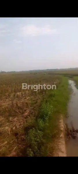 image  TANAH ZONA 10 HA COCOK PERUMAHAN\NSUBSIDI KARAWANG   (2)