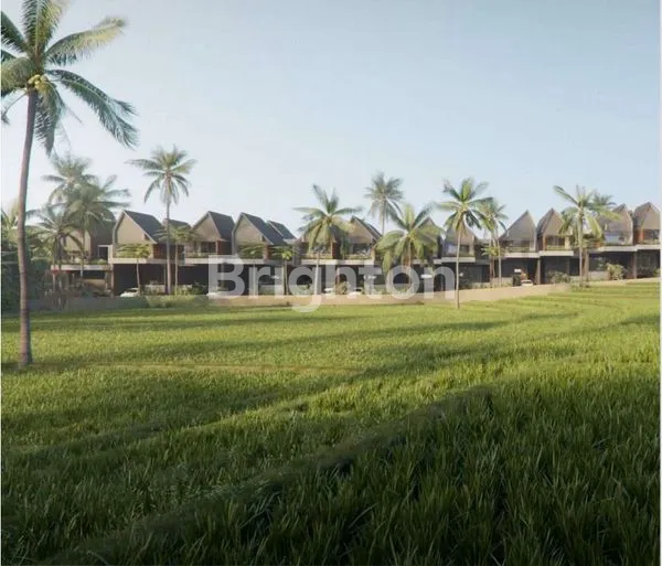 image VILLA MEWAH 3BR PRIVATE POOL VIEW SAWAH DI CANGGU - SHM (7)