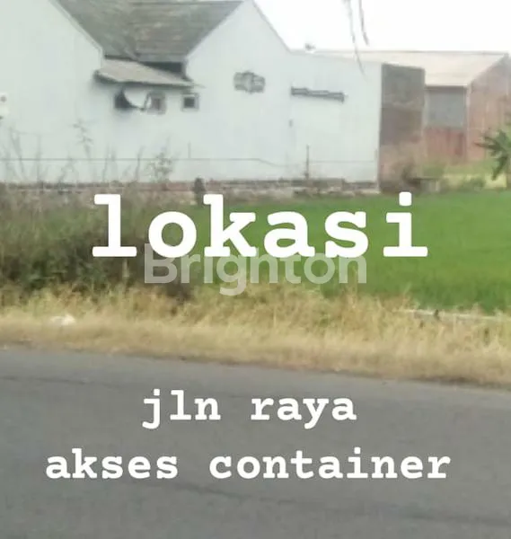 image TANAH DI GRESIK (1)