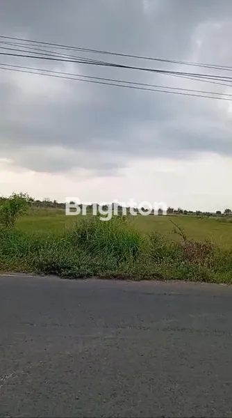 LAHAN KOSONG BELUM URUKAN