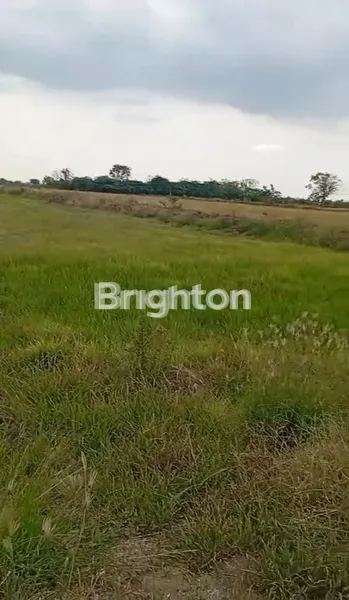 image TANAH UNTUK PERGUDANGAN  (1)