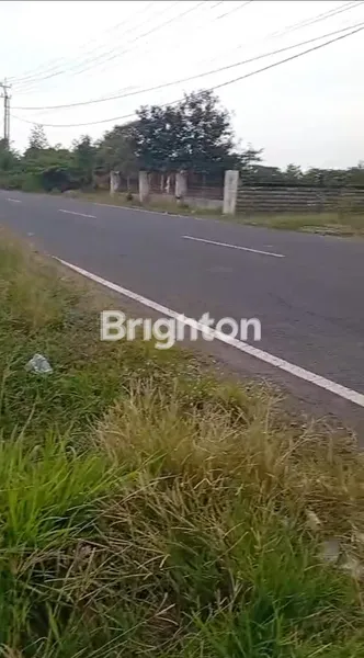 image TANAH UNTUK PERGUDANGAN  (2)