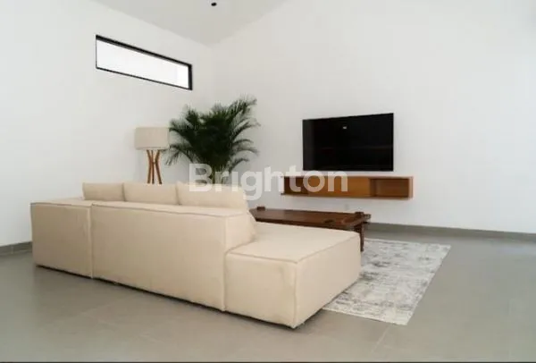 image VILLA DISEWA 25 TAHUN MODERN MINIMALIS DI CANGGU (2)