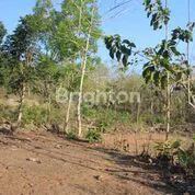 image TANAH STRATEGIS ULUWATU (1)