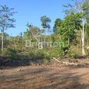 image TANAH STRATEGIS ULUWATU (2)