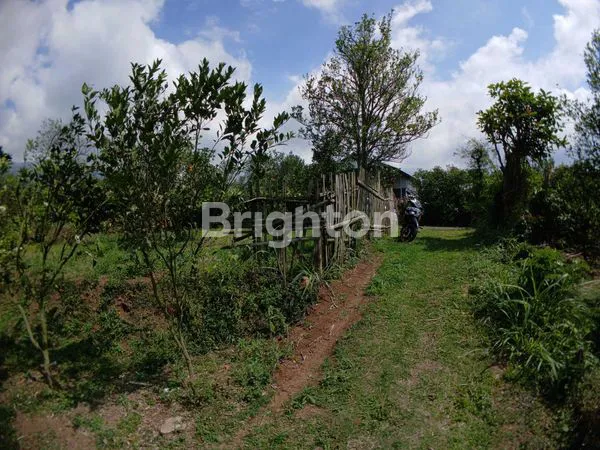 image TANAH LUAS DI DAU MALANG (4)