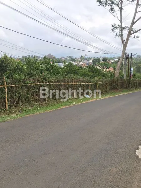 image TANAH LUAS 6000M² SHM DI DAU DEKAT KAMPUS UMM (1)