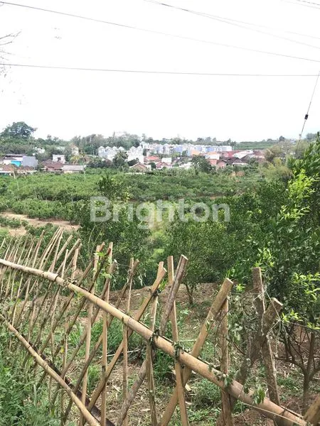 image TANAH LUAS 6000M² SHM DI DAU DEKAT KAMPUS UMM (4)